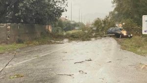 maltempo lamezia terme