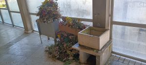 Degrado cimitero Condera (2)