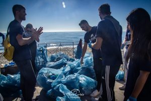 Plastic Free
