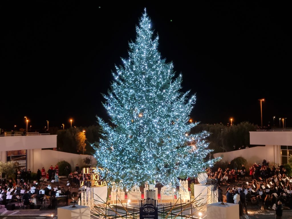 albero natale cittadella