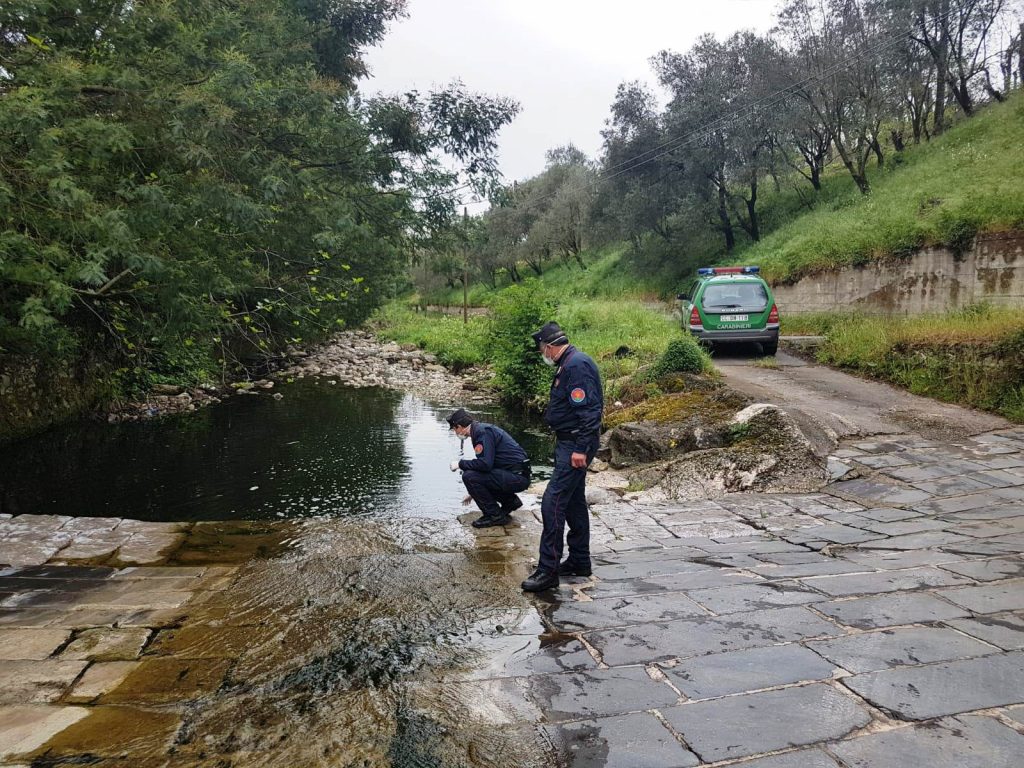 carabinieri forestali