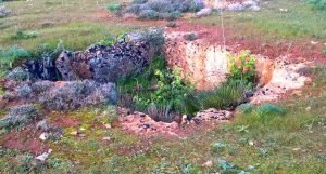 Antico sito archeologico Mazara del Vallo