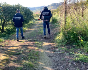 Carabinieri tutela lavoro