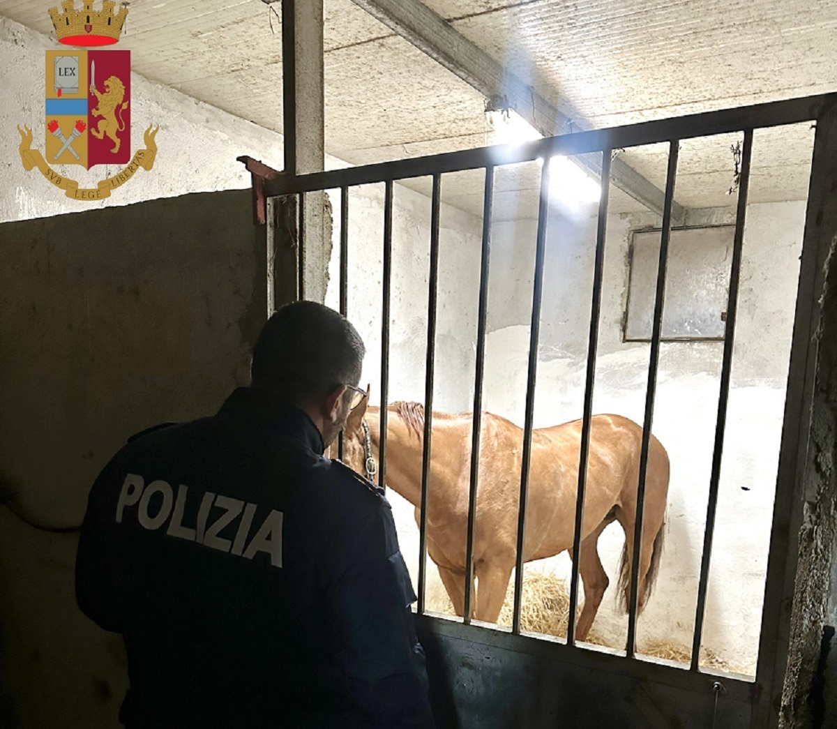 Polizia