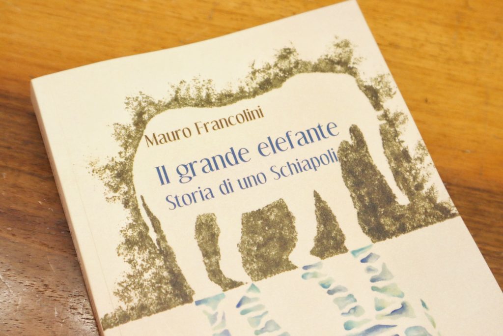 Presentazione libro Mauro Francolini a ciclo di incontri con Prof Amato Reggio Calabria