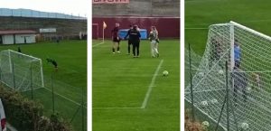 allenamento reggina