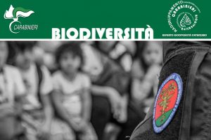 biodiversità