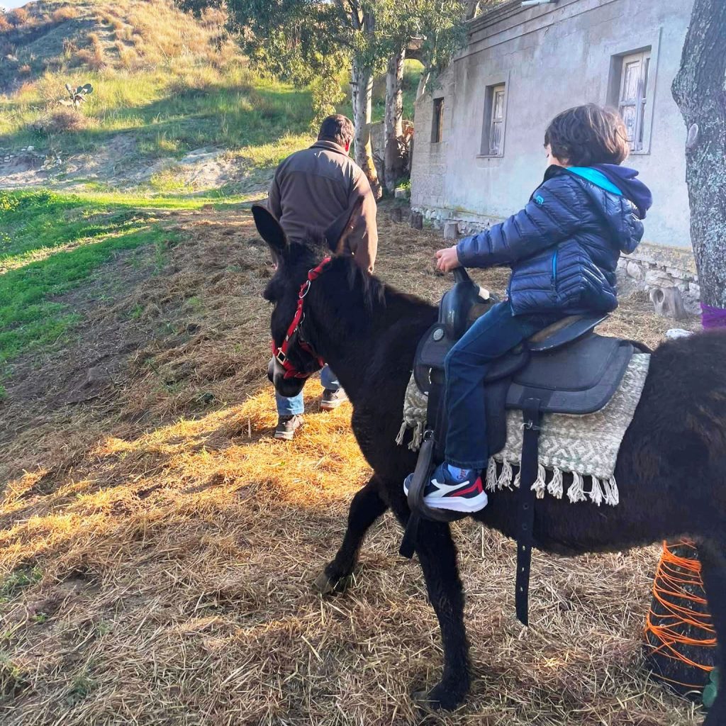 borgo nocille trekking asino