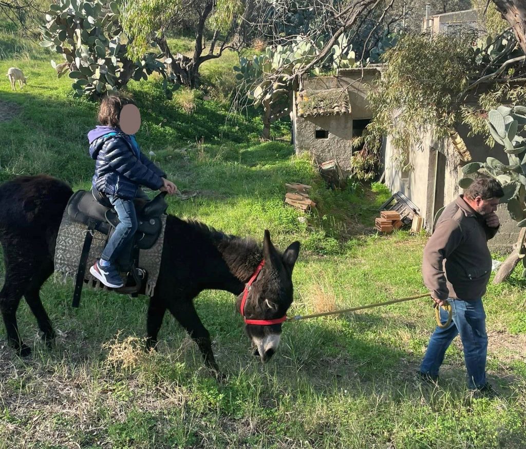 borgo nocille trekking asino