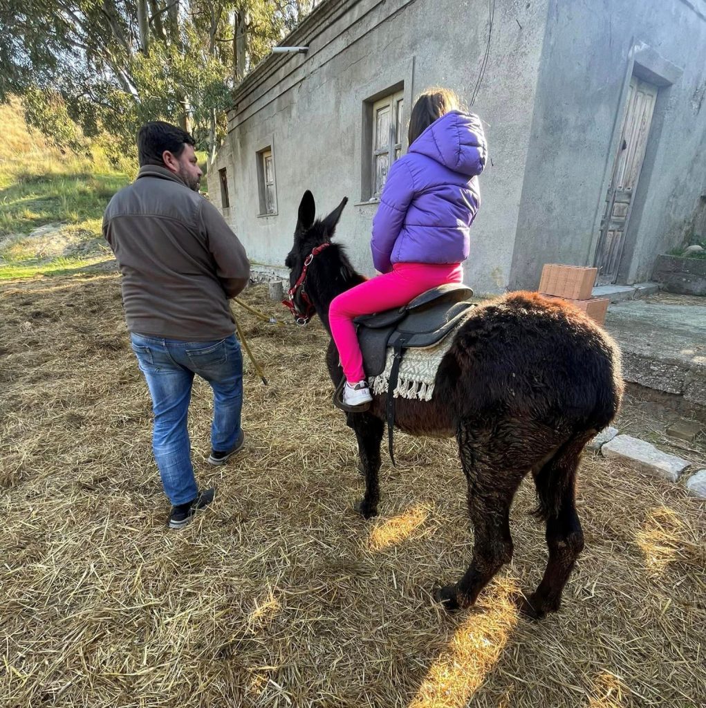 borgo nocille trekking asino