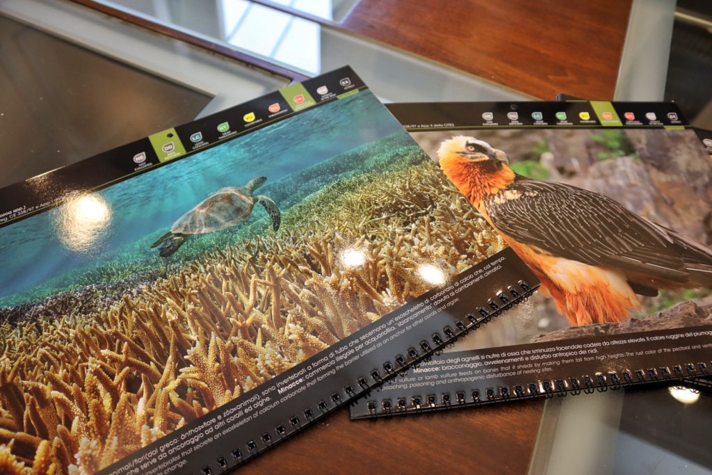 carabinieri forestali conferenza stampa