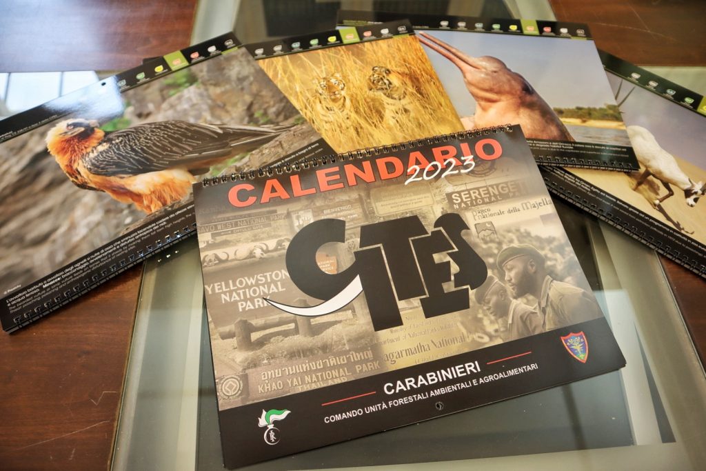 carabinieri forestali conferenza stampa
