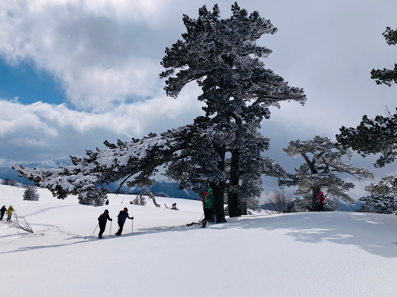 ciaspole pollino (1)