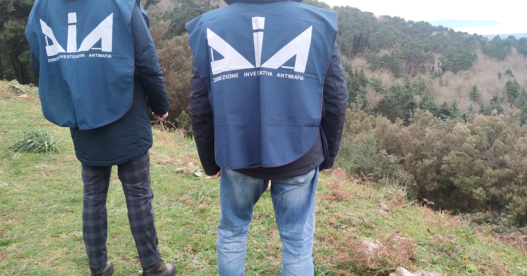 dia direzione investigativa antimafia