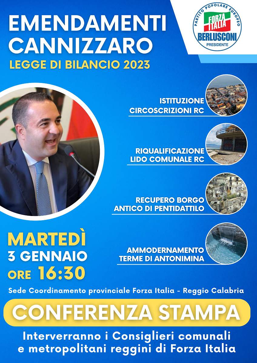 emendamenti cannizzaro
