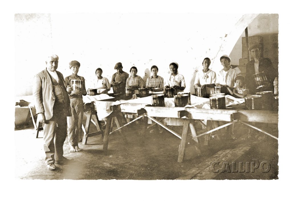 lavorazione del tonno
