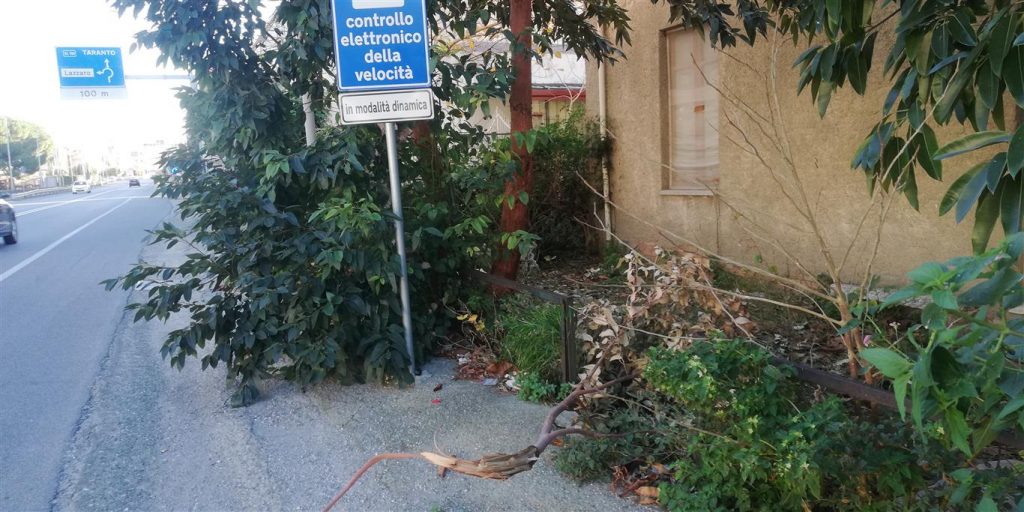ramo albero pericoloso lazzaro
