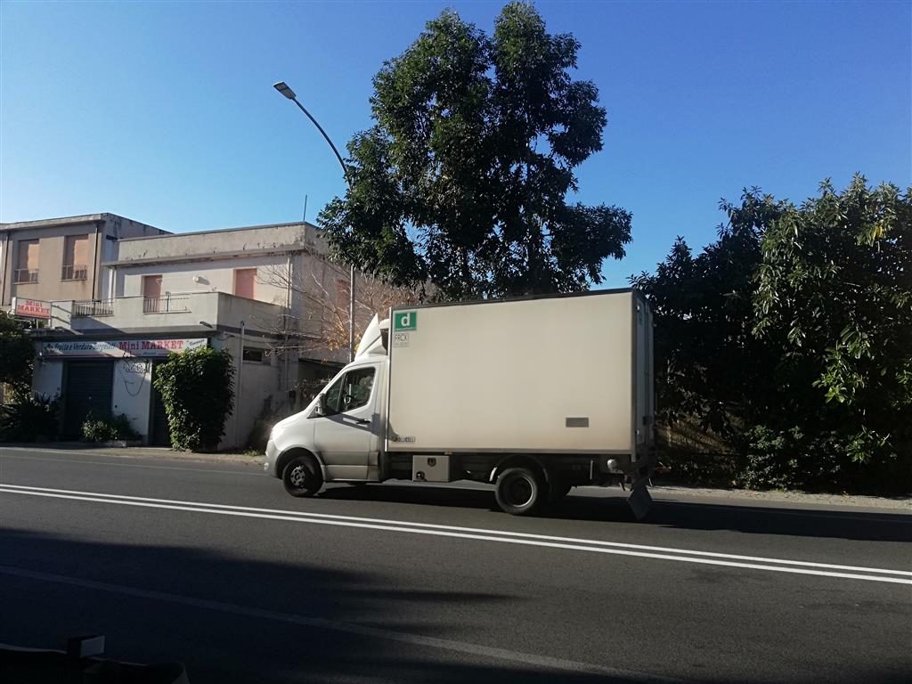 ramo albero pericoloso lazzaro