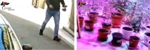reggio calabria operazione antidroga new age