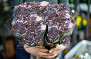 Bouquet spazzatura Sindaci Reggio Calabria