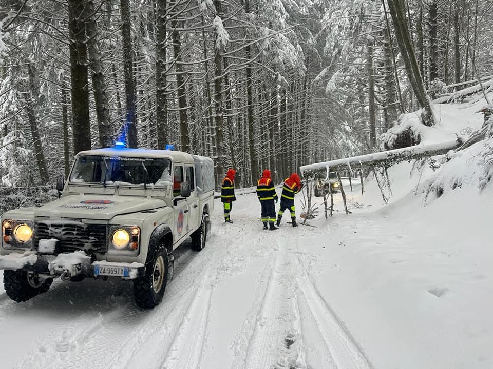 neve mongiana 9 febbraio 2023