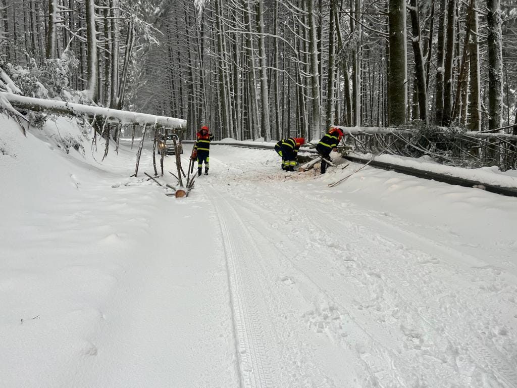 neve mongiana 9 febbraio 2023