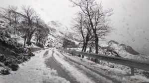 neve strada bova