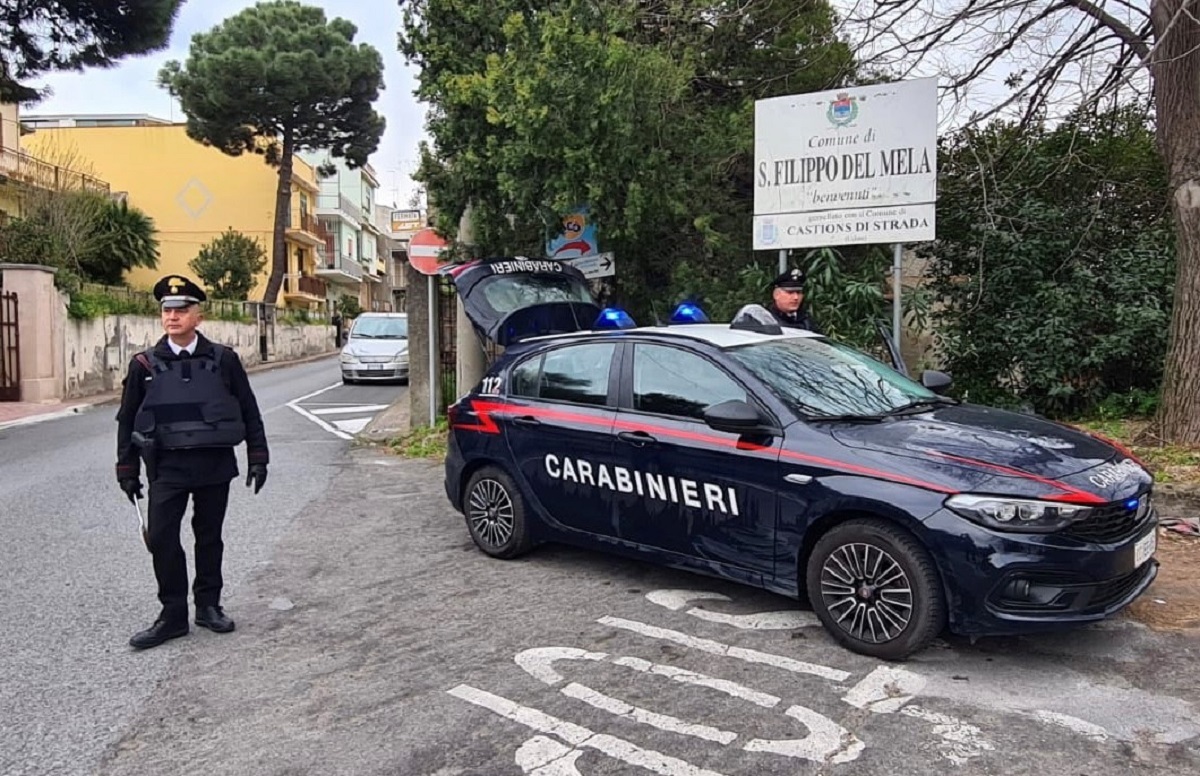 Semi Di Mela Colonnari: 120 Pezzi Per Giardino, Decorativi E Resistenti, Ideali Per Adulti E Principianti