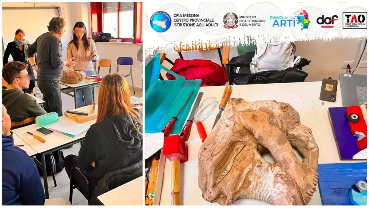 Progetto D’Arborea Vita Viventi