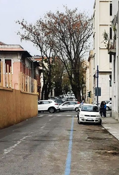 Abbattuti-alberi-intorno-a-Piazza-De-Nava-3