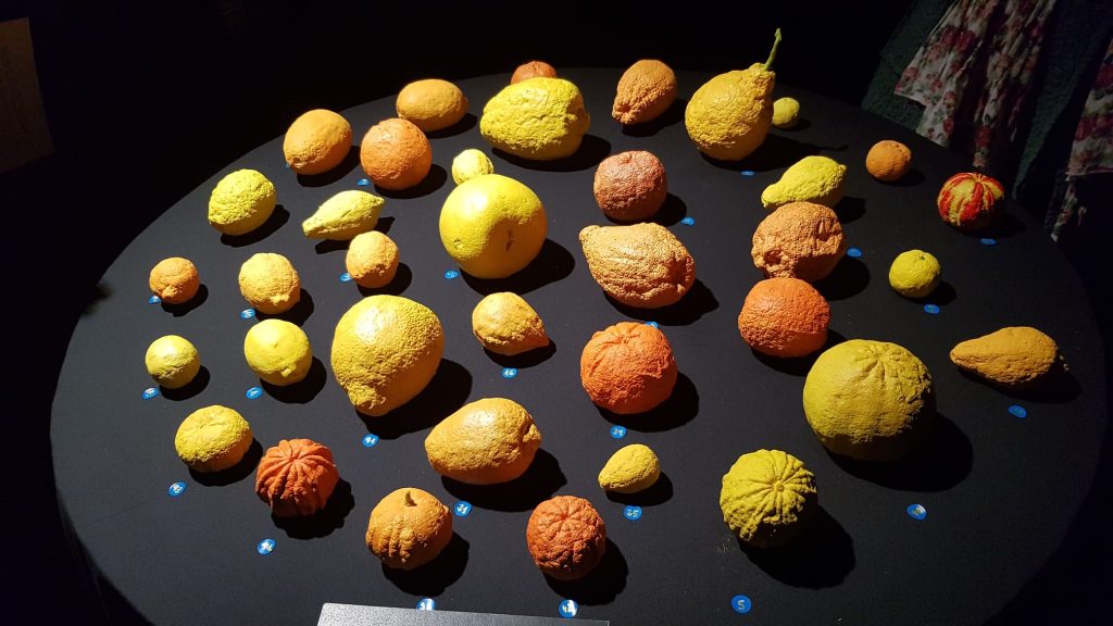 Bergamotto di Reggio Calabria in Spagna