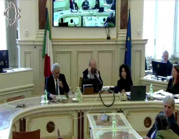 Intervento Rocco La Valle audizione Camera