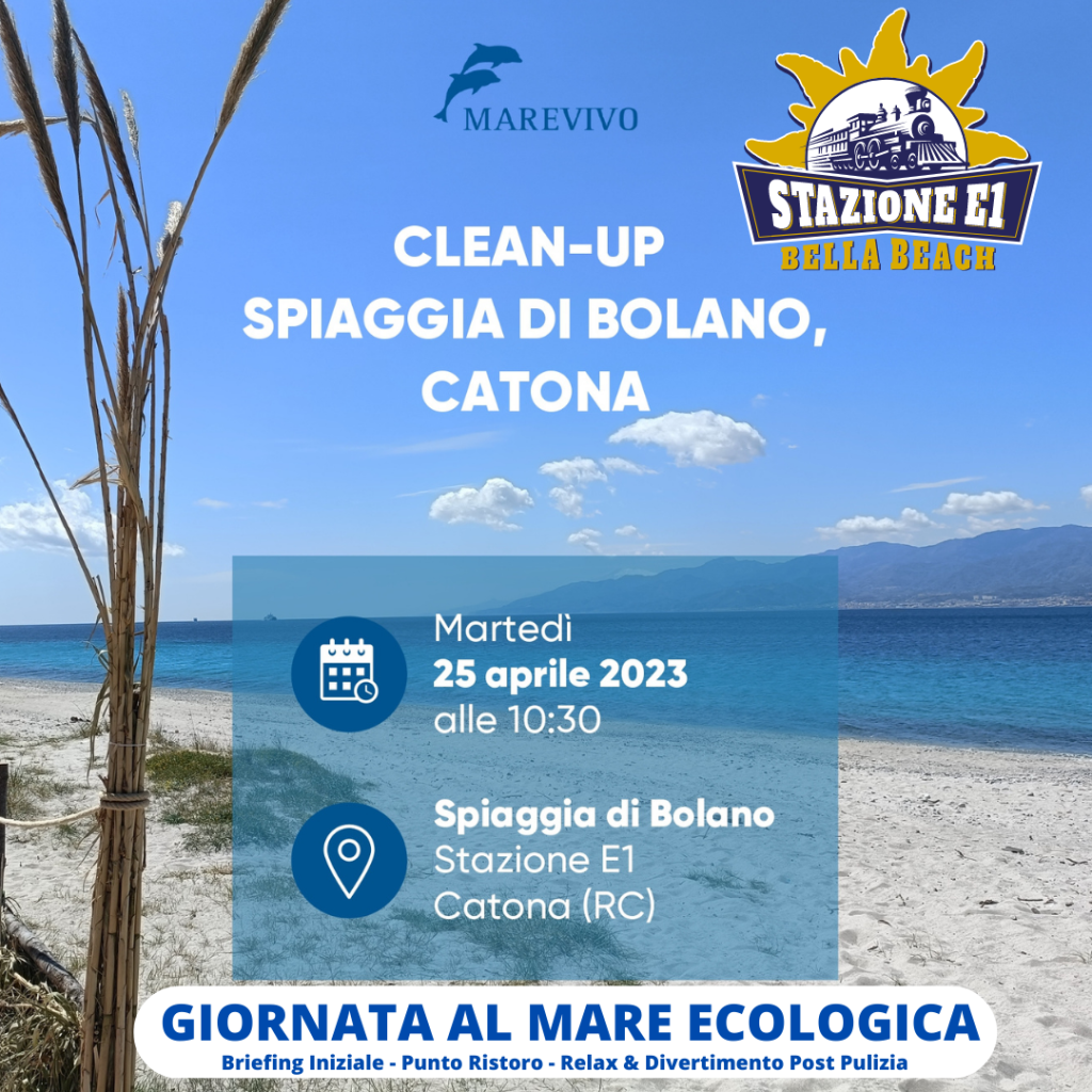 Martedì 25aprile clean up