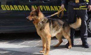 cane guardia di finanza