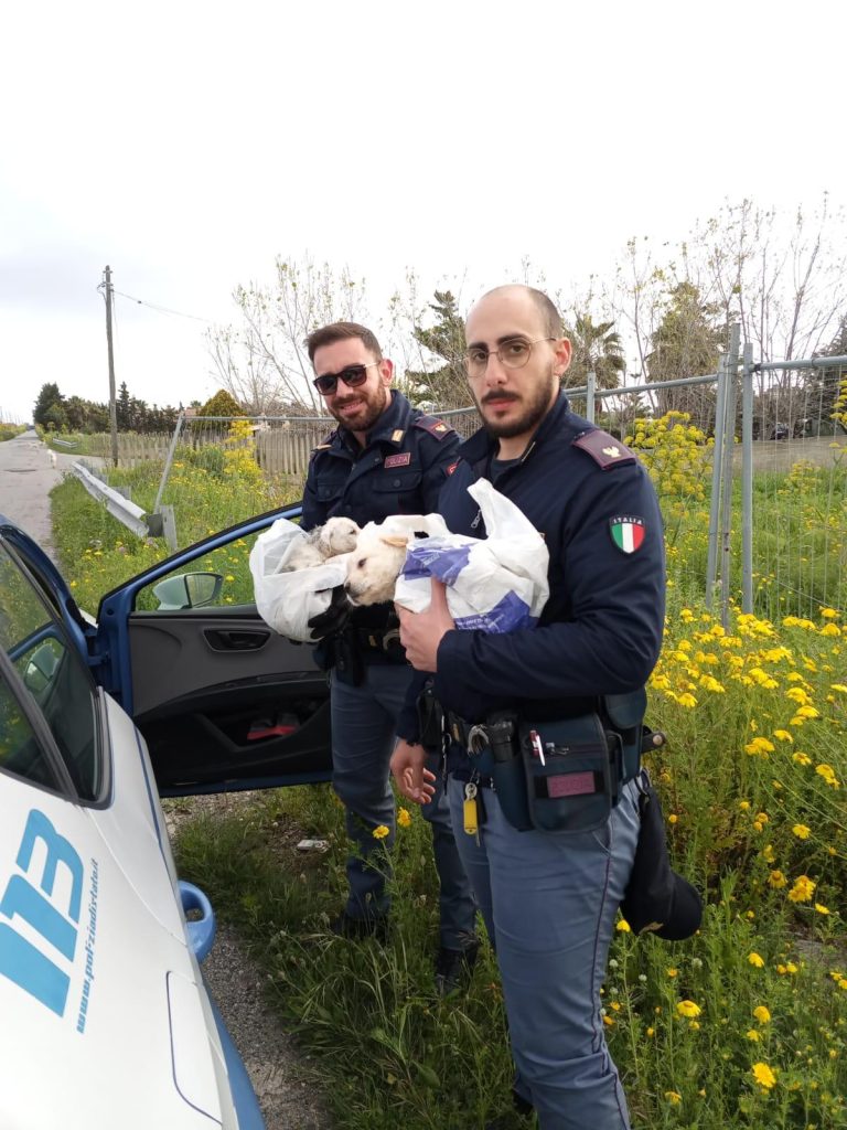 cuccioli di cane salvati polizia crotone