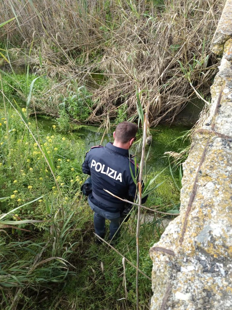 cuccioli di cane salvati polizia crotone
