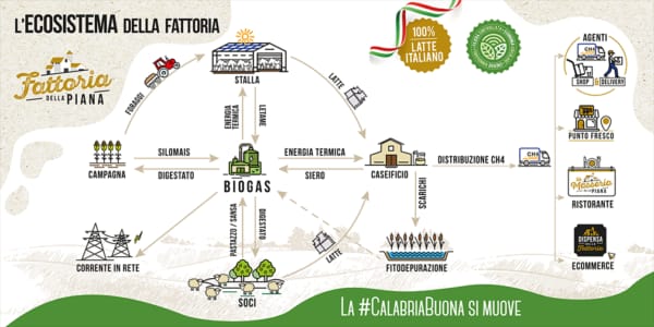 ecosistema fattoria