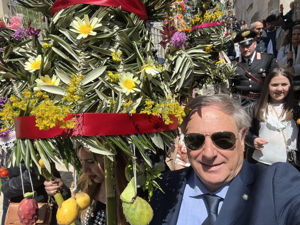 palme bova
