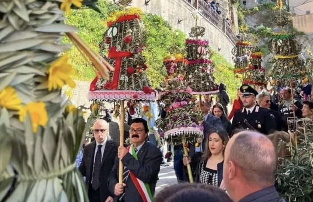 palme bova