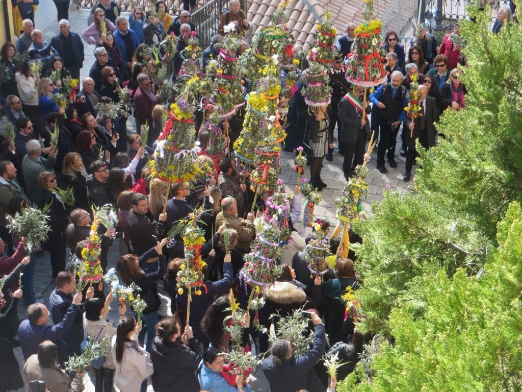 palme bova