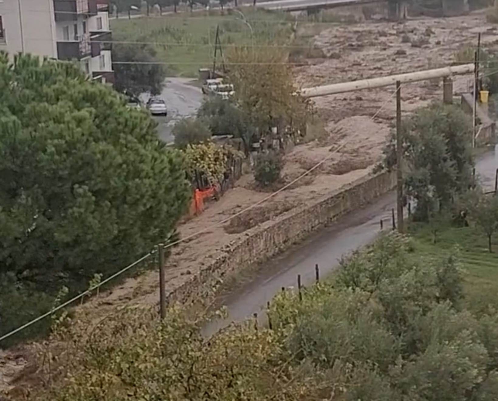 torrente rossano