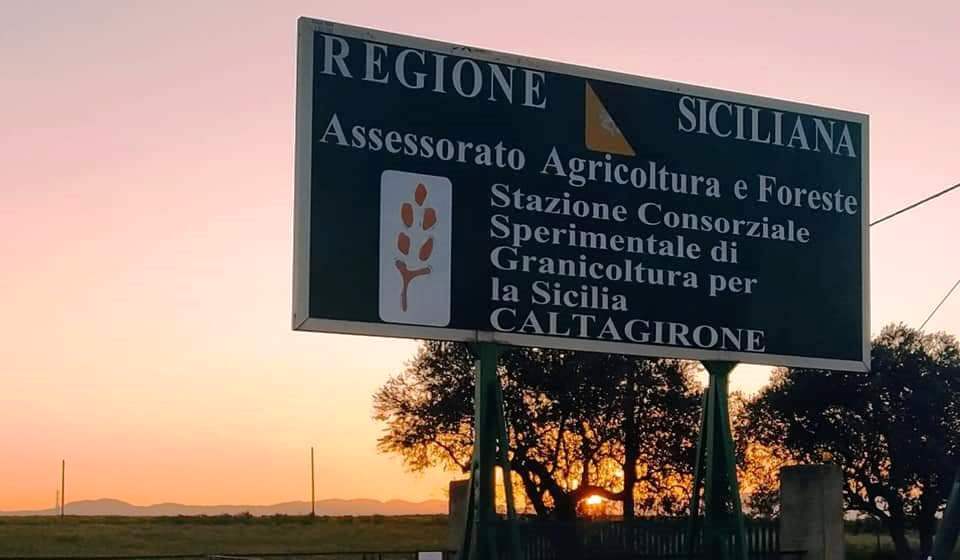 Caltagirone