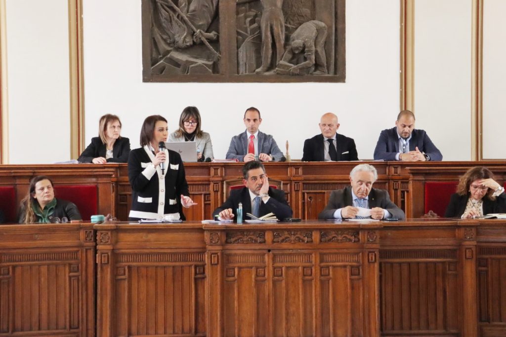 Consiglio comunale reggio