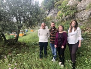 Giornata delle Api