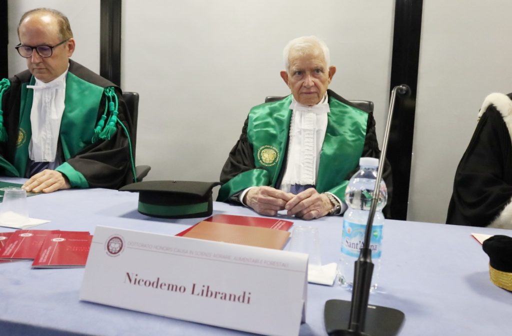Laurea Honoris causa Librandi (2)