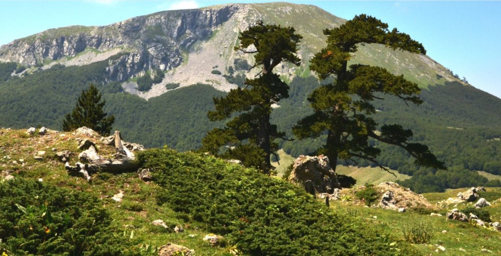 Parco dell'Aspromonte