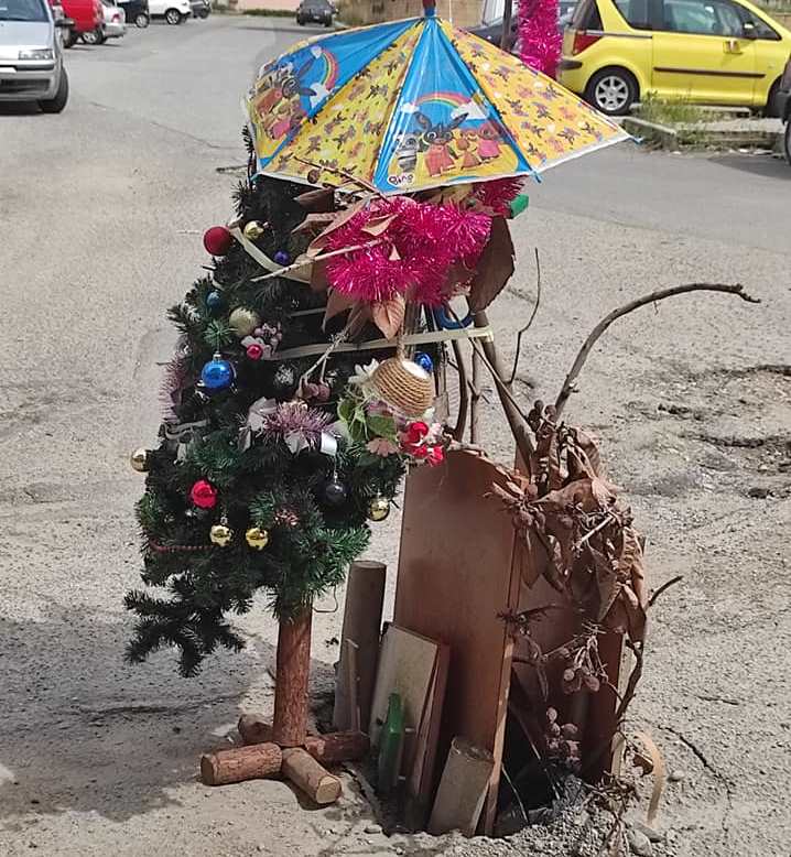 alberello in una buca