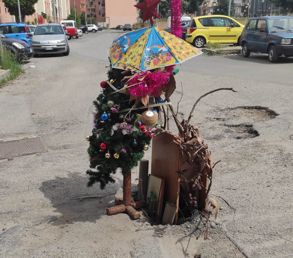alberello in una buca