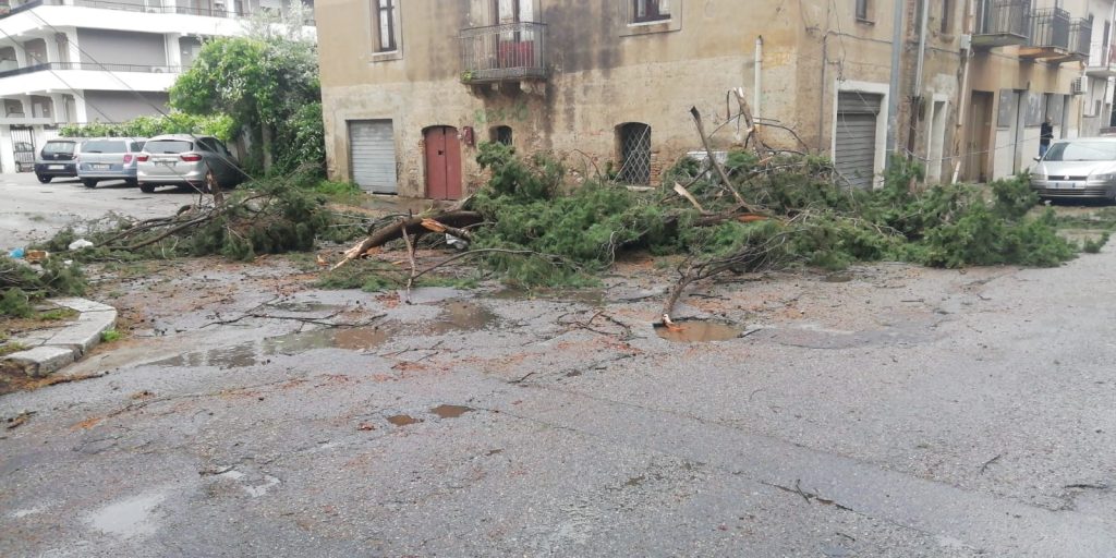 alberi sradicati forte vento