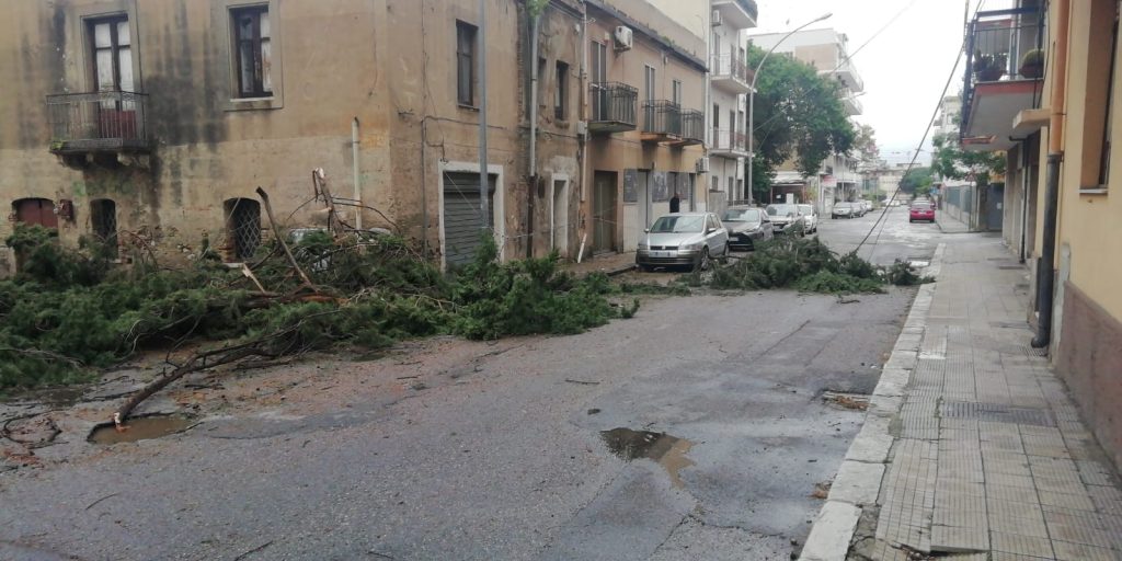 alberi sradicati forte vento
